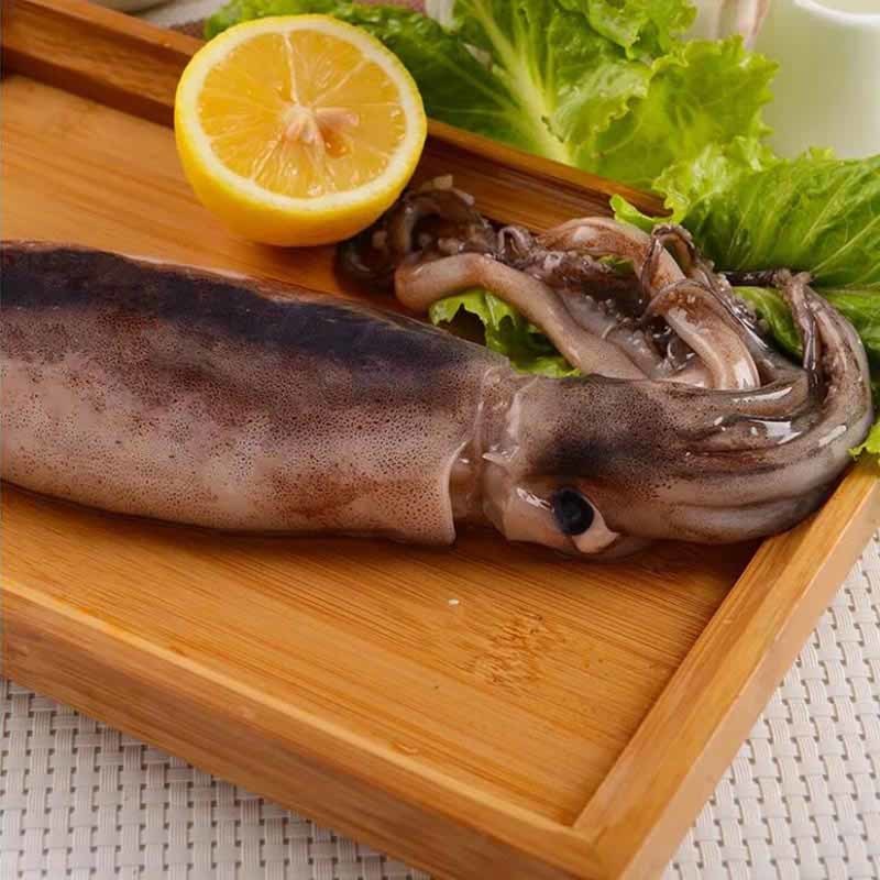鱿魚